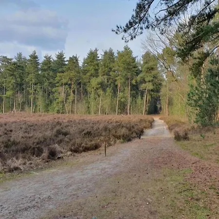 Сasa de vacaciones Holiday Home In Huijbergen Near Forest, Cleaning Included *